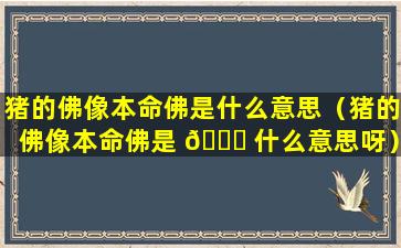 猪的佛像本命佛是什么意思（猪的佛像本命佛是 🐋 什么意思呀）